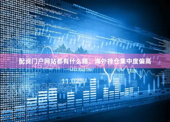 配资门户网站都有什么锡：海外持仓集中度偏高