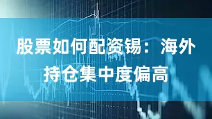 股票如何配资锡：海外持仓集中度偏高