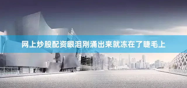 网上炒股配资眼泪刚涌出来就冻在了睫毛上