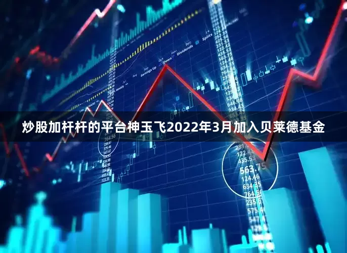 炒股加杆杆的平台神玉飞2022年3月加入贝莱德基金