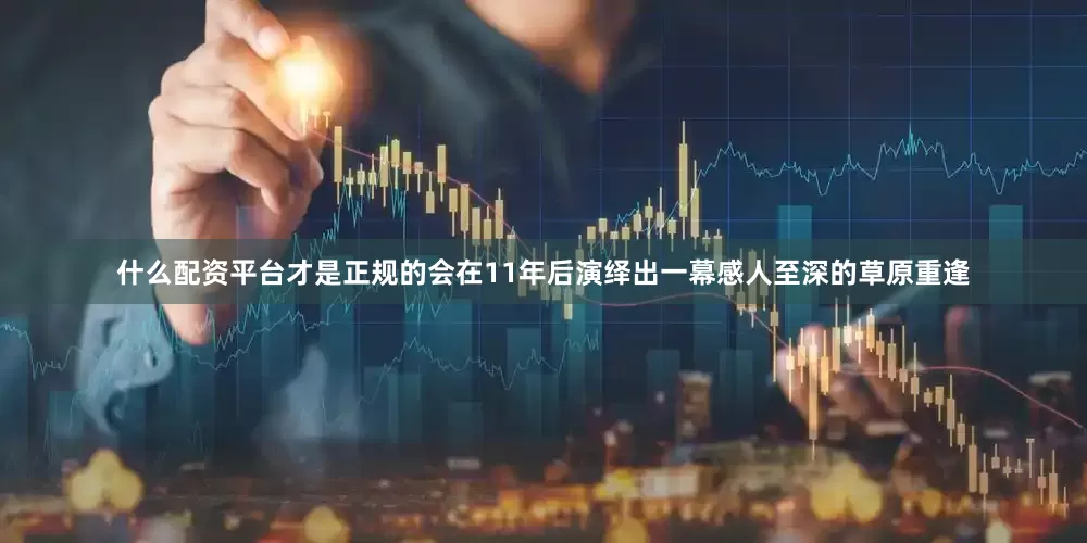 什么配资平台才是正规的会在11年后演绎出一幕感人至深的草原重逢