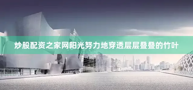 炒股配资之家网阳光努力地穿透层层叠叠的竹叶